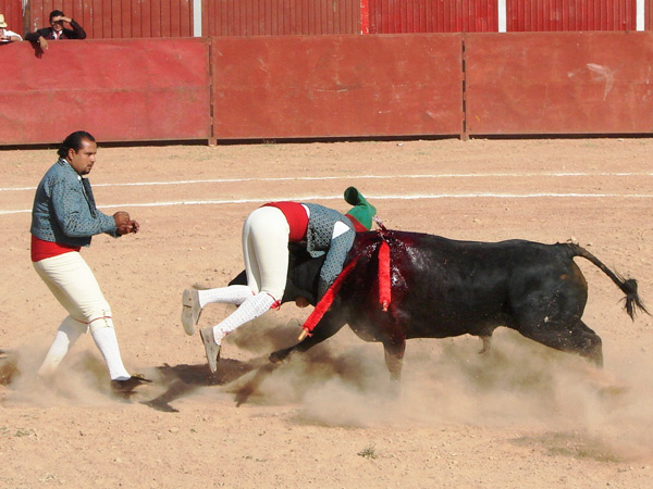 Los Forcados Queretanos