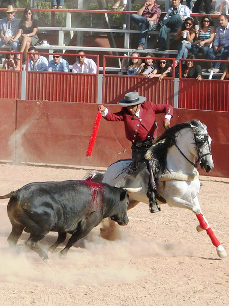 Se vena cruzado