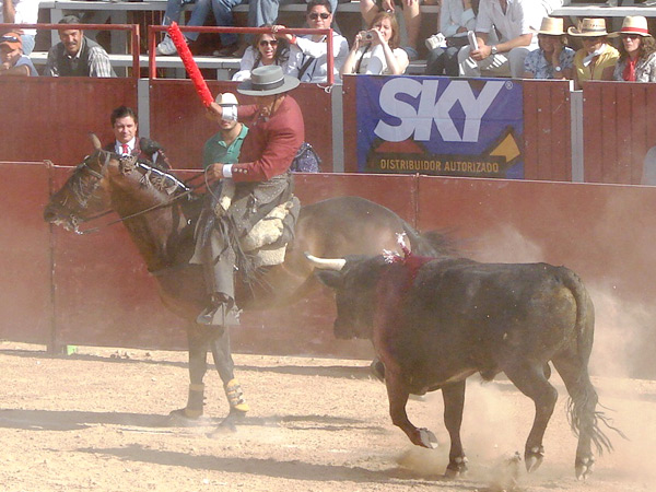 Galopando de costado