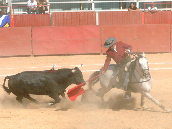 El rejn de castigo