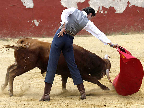 Fernando, con el novillo