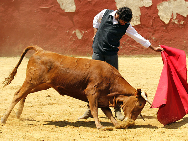 Alargando el trazo