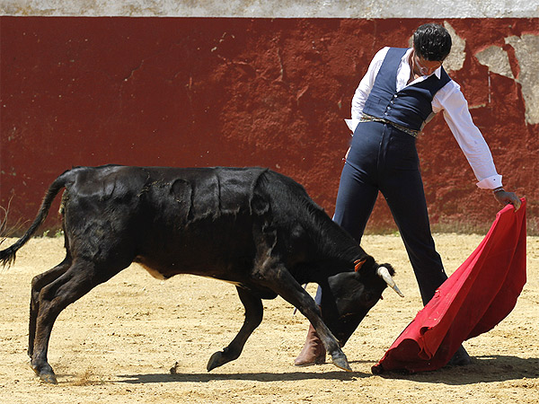 Asentado el moreliano