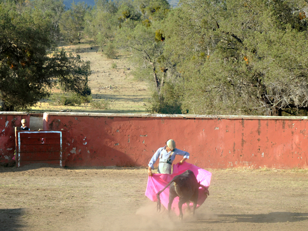 Imagen del campo bravo mexicano