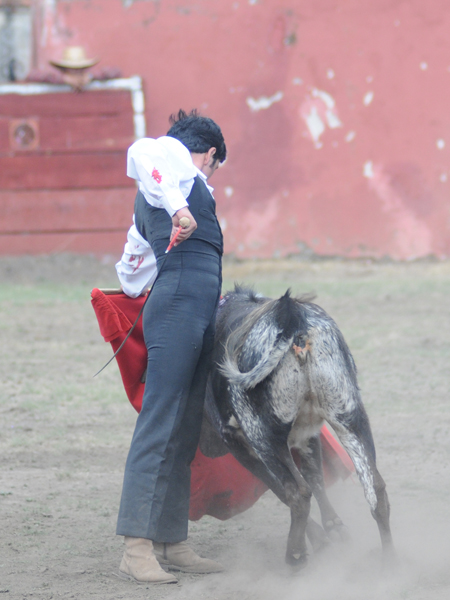 Ibelles muy pegado