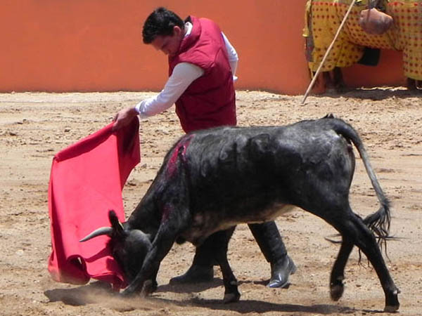 Faena campera en Los Encinos