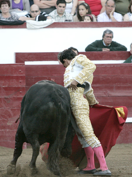 Sintiendo el toreo