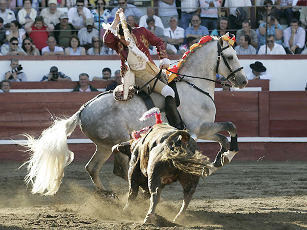 El rejoneador Tiago Pamplona