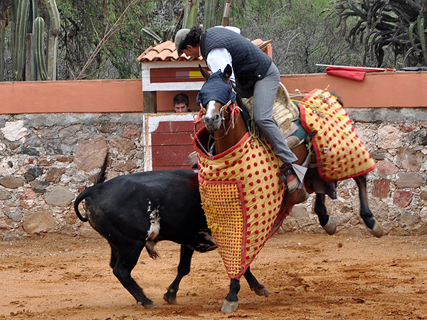 Gran vara de Csar Morales