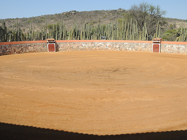 Tentadero mexicano