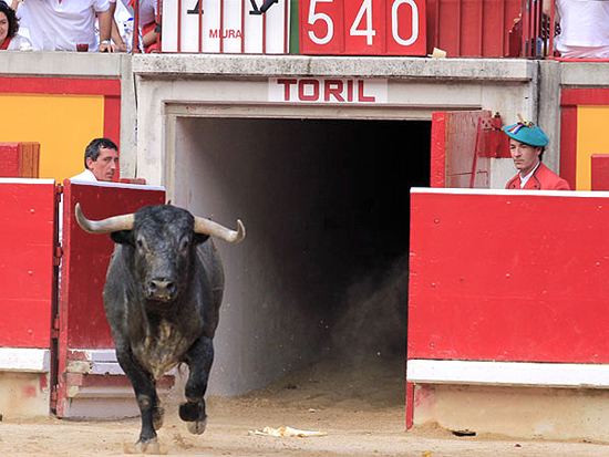 Un miura en el ruedo