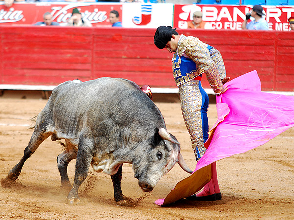 Destellos toreros de Manolo