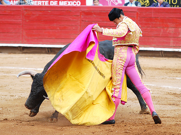 El venezonalo, a la vernica