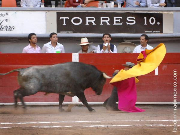 Mora con el de regalo