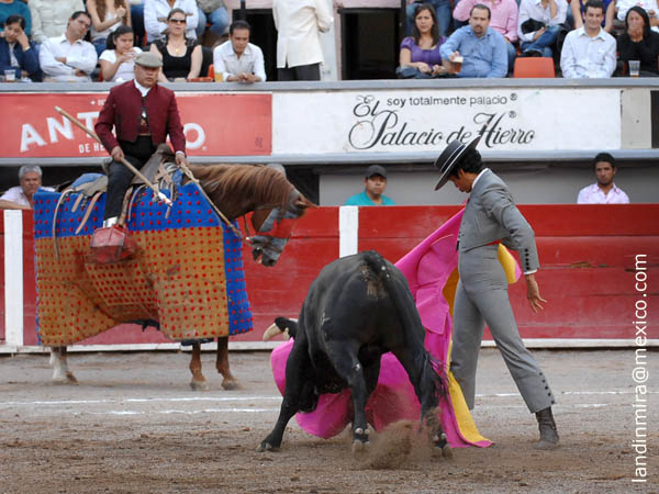 Dejndolo al caballo