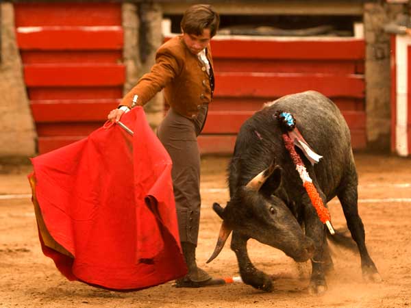 Aguantando la embestida