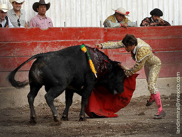 Tremendo estoconazo