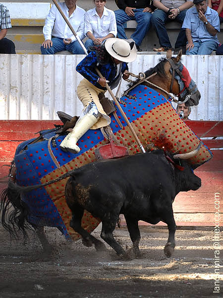 La pelea en el peto