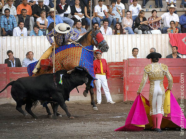 La vara de Juan Cobos