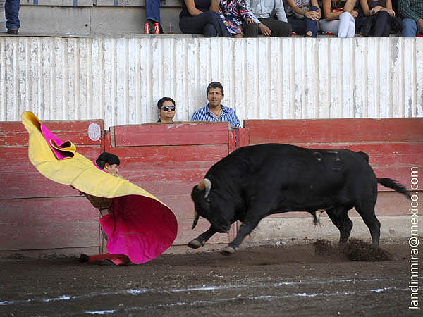 Larga de Fabin Barba