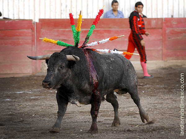 Los tres, en el dimetro de un peso