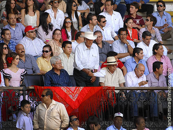 El Juez concede la oreja...