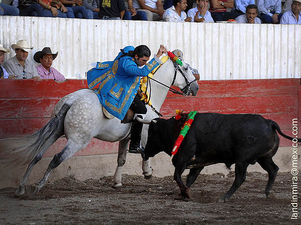 Banderilla corta