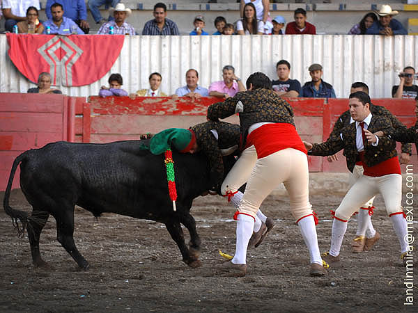 Los Forcados de Mazatln