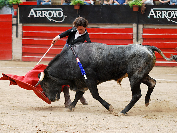 Adornos finales