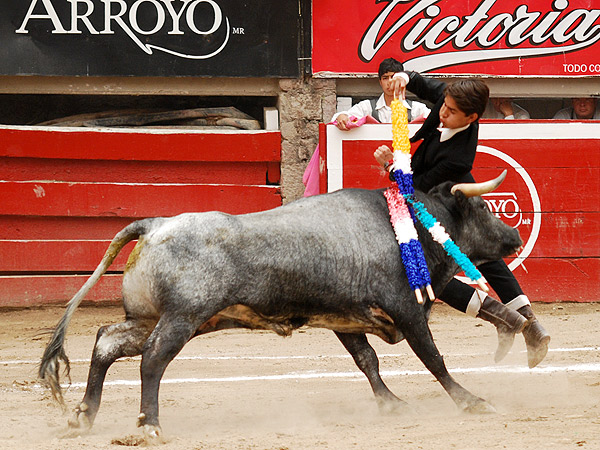 Cuajando el violn