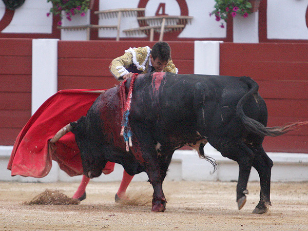 Un can con la espada