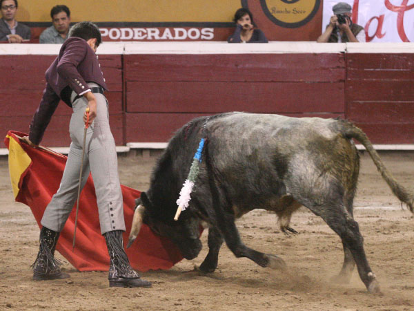 Faena de altos vuelos