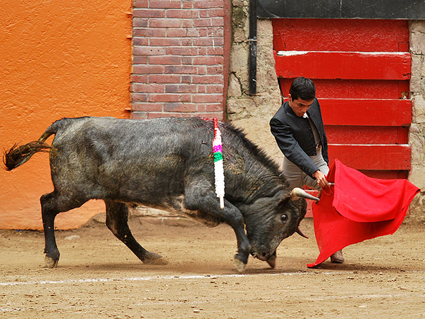 Mostrando tcnica y oficio