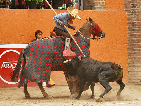 Buena vara del caporal