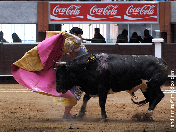 Federico inicia el festejo