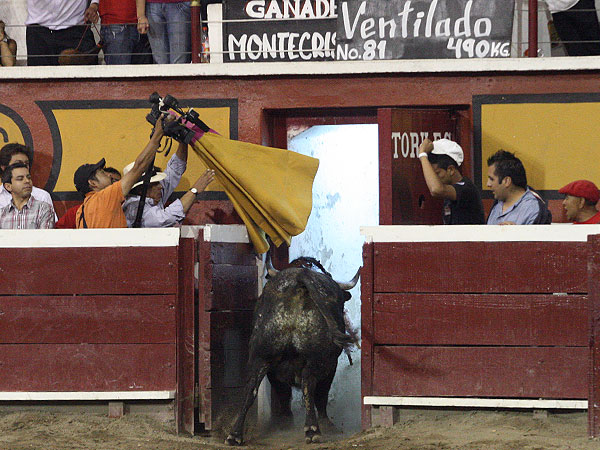 Premio a la bravura