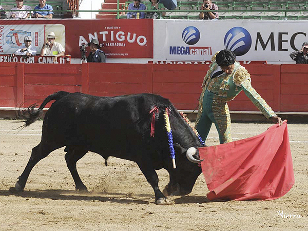 Cerca los pitones de la muleta