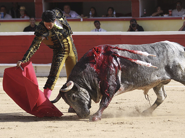 Fijo en la muleta