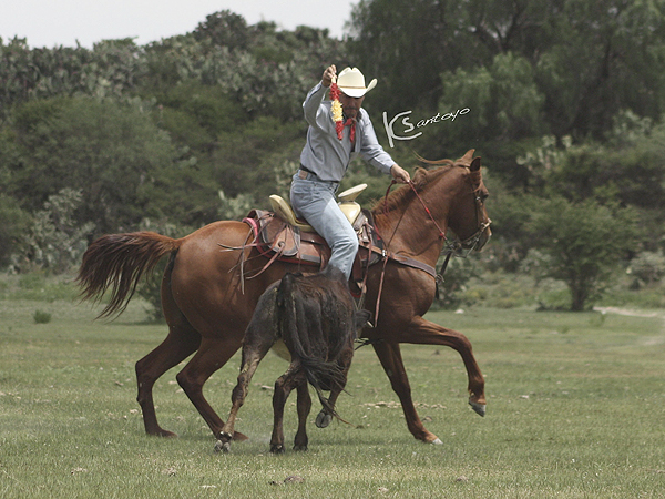 Estampa mexicana