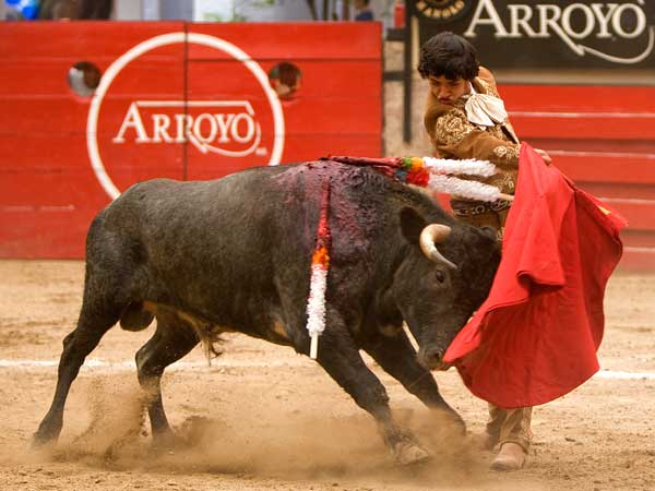 Perfilando su remate