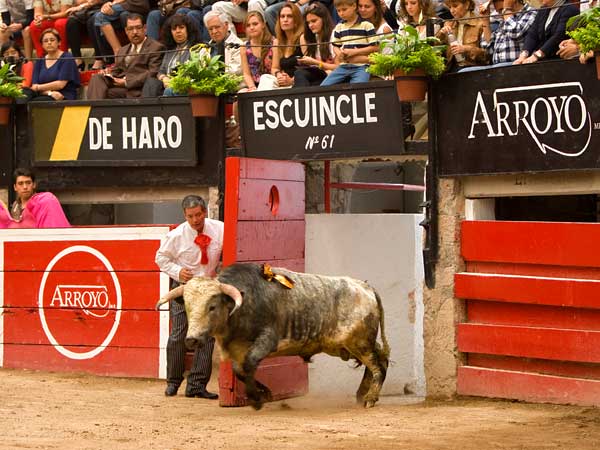 Le cortaron una oreja al escuincle