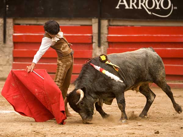 Muletazos de gran calidad