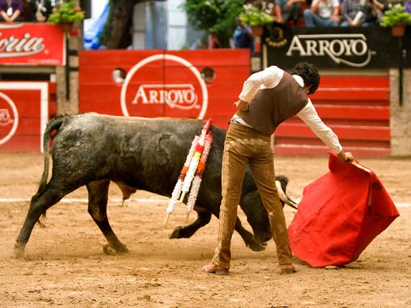 Bajando el engao