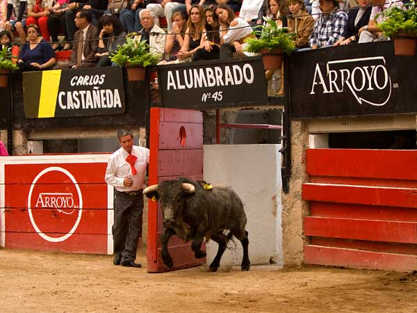 Se fue sin una oreja Alumbrado