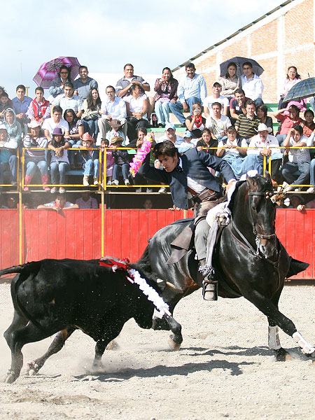 Levantando el brazo