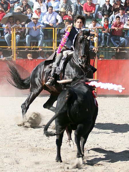 En terreno del toro