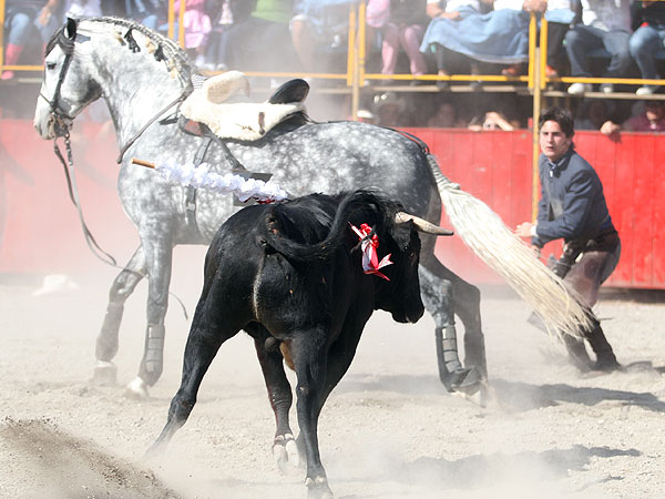 Pudieron levantarse