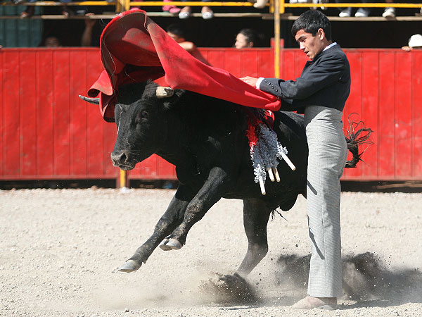 Ambiente de feria