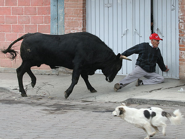 A merced del toro