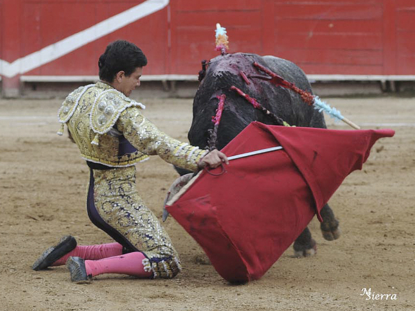 De rodillas por derecha